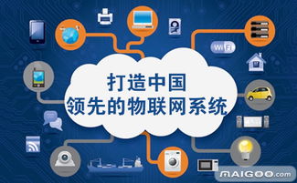 綠度股份品牌介紹 互聯網信息服務領域的卓越之選